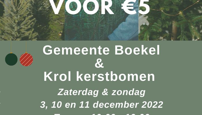 Gemeente Boekel en Krol kerstbomen: "Kies een kerstboompje uit voor maar € 5"
